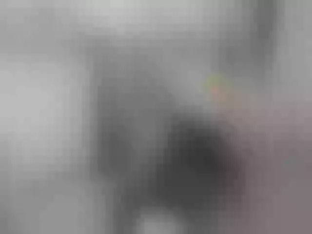 Live sex webcam photo for WildRose__ #259461996