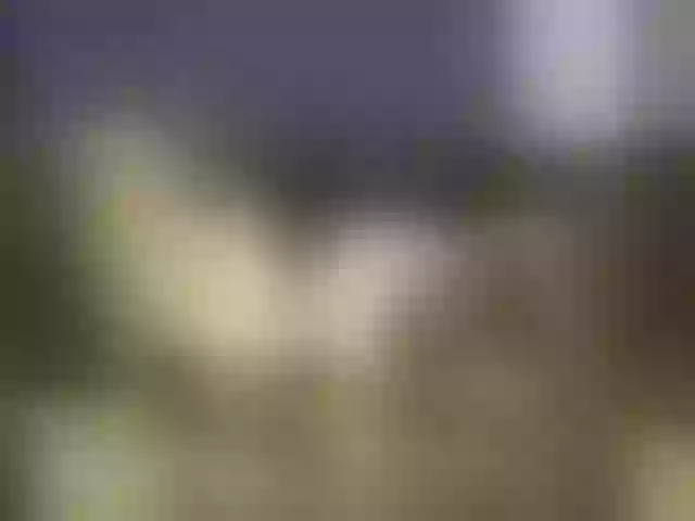 Live sex webcam photo for Anna-ya #240922655