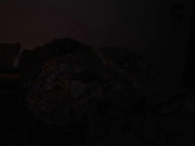 Live sex webcam photo for SEDALOVE #254716314