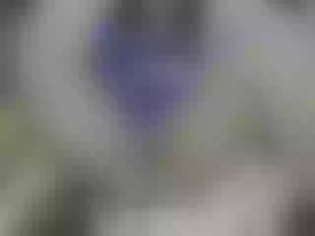Live sex webcam photo for Milochka95 #241244490