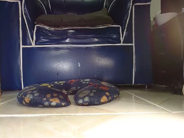 Live sex webcam photo for Alexia_Bonet #261870943