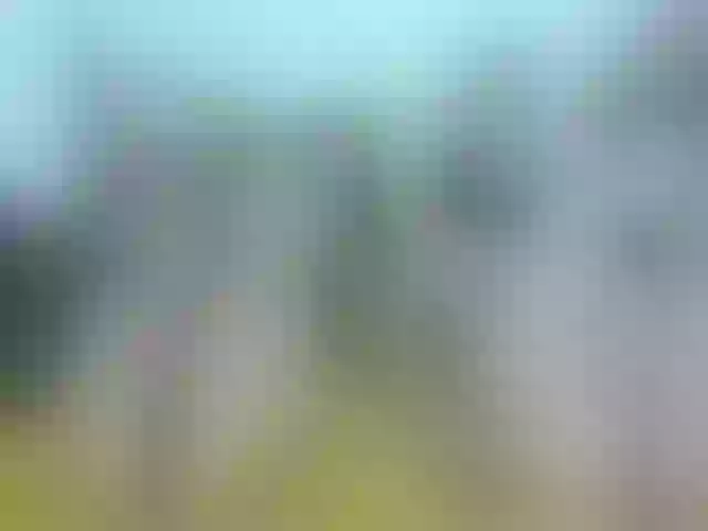 Live sex webcam photo for AletaOcean #264080852