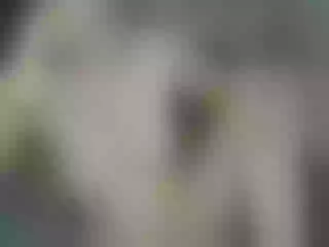Live sex webcam photo for Yourmilf24 #263178831