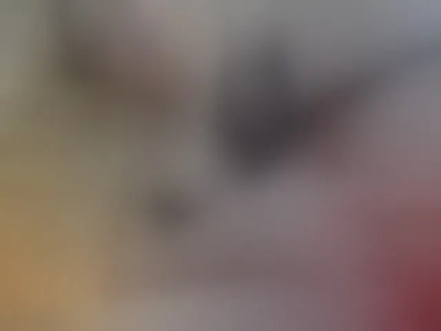 Live sex webcam photo for blondebab3 #243085716