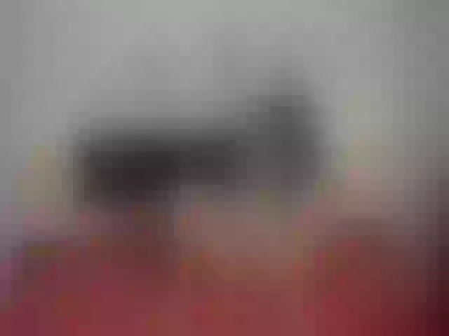 Live sex webcam photo for Hhalaa_ #254448486
