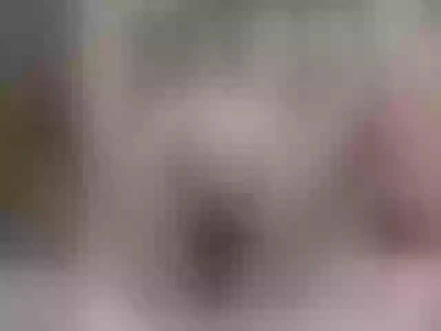 Live sex webcam photo for Miia_cox #257686307