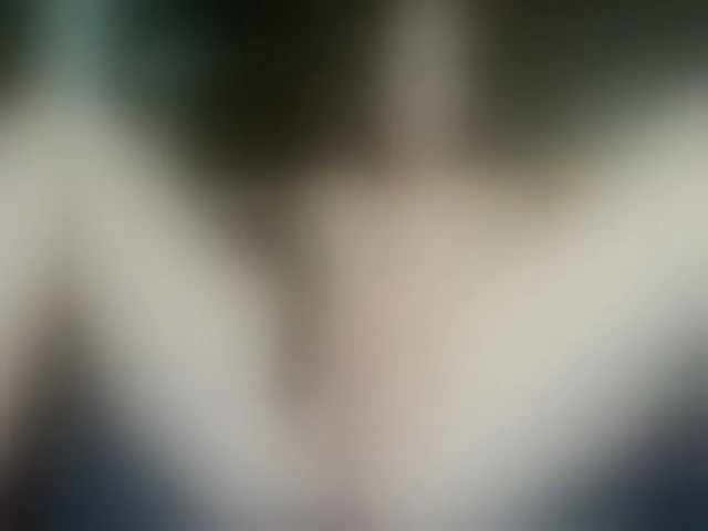 Live sex webcam photo for JenniferLuvv #258114282