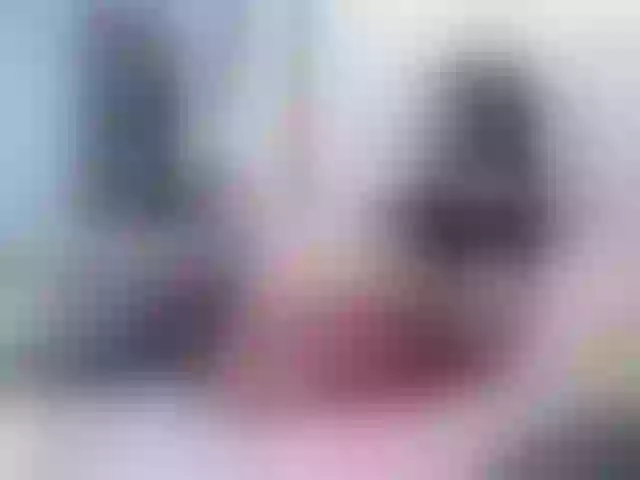 Live sex webcam photo for Vikibru #240889077
