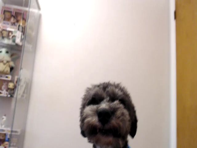 Live sex webcam photo for Gracie #258890804