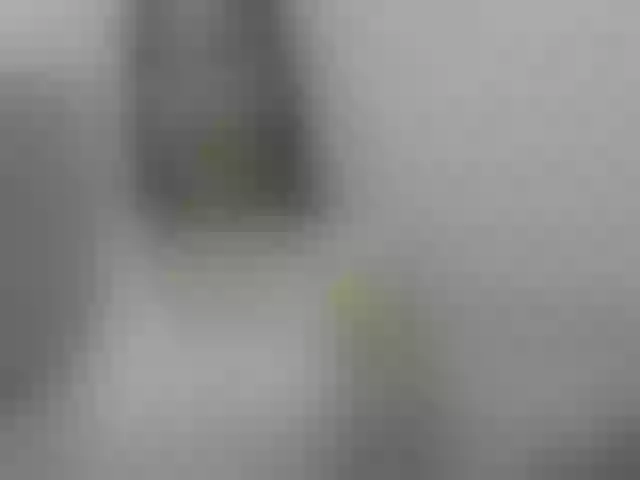 Live sex webcam photo for silvanasweet #241391405