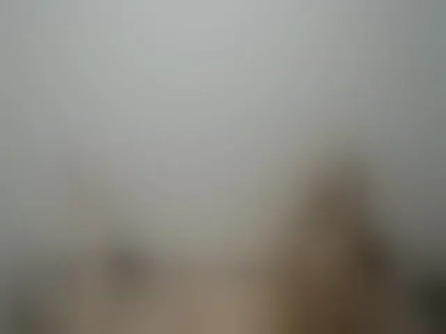 Live sex webcam photo for WildLadyHawke #252469208