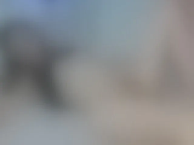 Live sex webcam photo for VennusLove #261097628