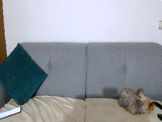 Live sex webcam photo for Stephycute #252260846