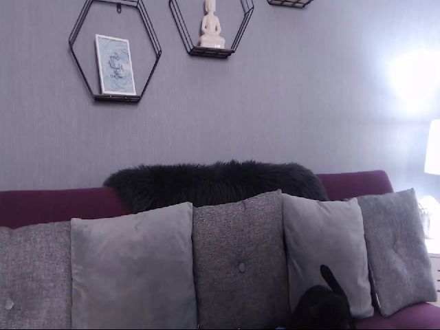 Live sex webcam photo for AuroraXSky #256883021