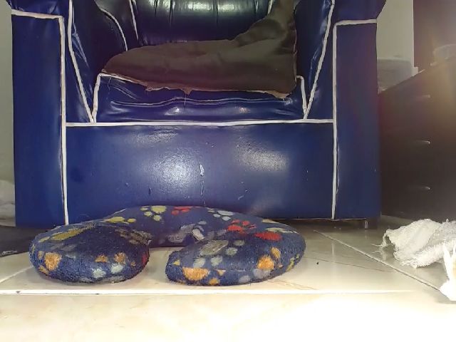 Live sex webcam photo for Alexia_Bonet #254374248