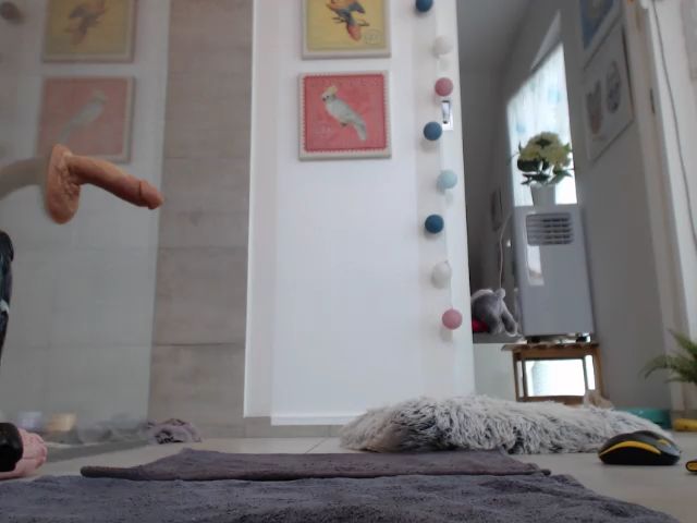 Live sex webcam photo for Shy_Puppy #252779486