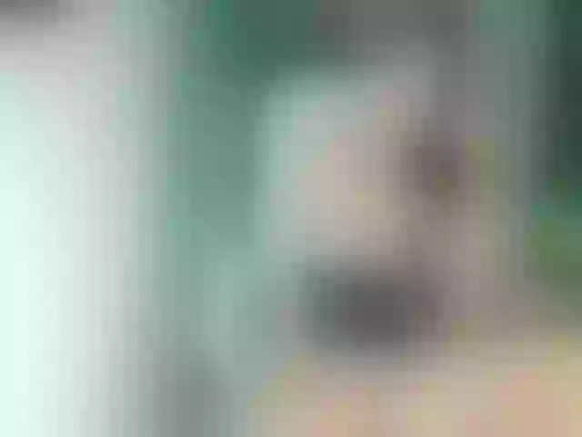 Live sex webcam photo for AiriKim #253293984