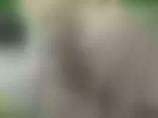 Live sex webcam photo for PureEmanuelle #264056089