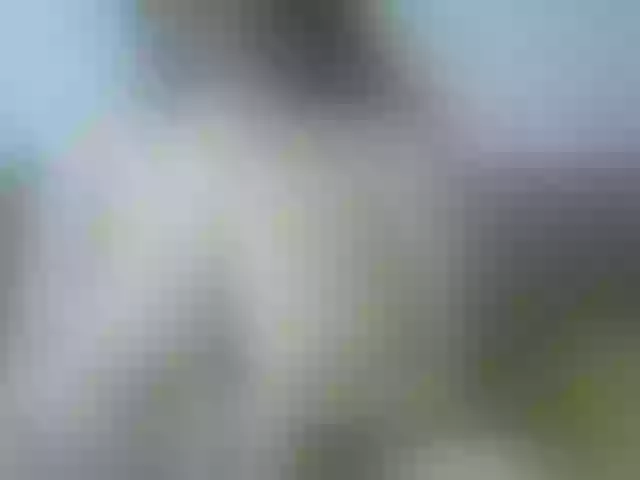 Live sex webcam photo for stressygirl #242702762
