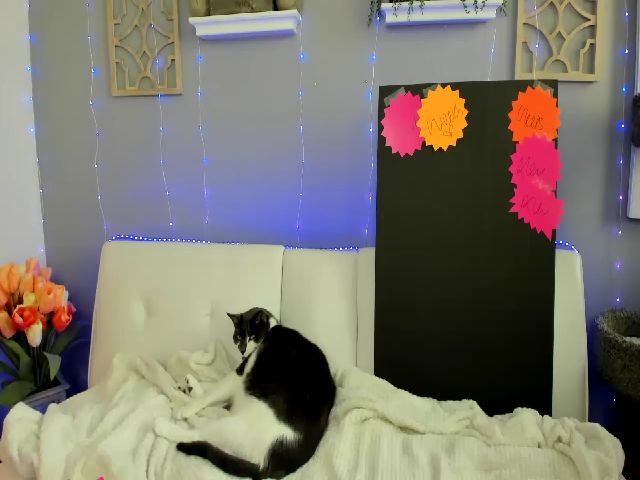 Live sex webcam photo for Sofiryanxoxo #257833775