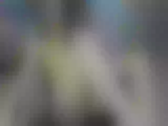 Live sex webcam photo for VenusZill #254813132