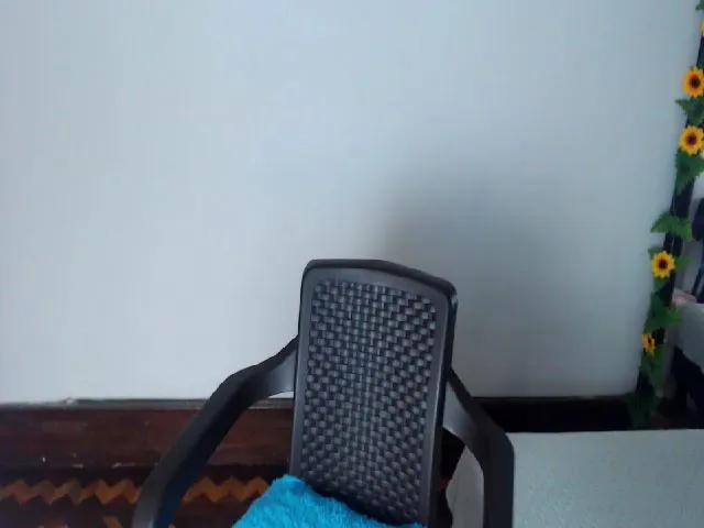Live sex webcam photo for Jimena_colins #259068940