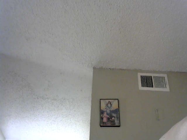 Live sex webcam photo for Hotmodel1984 #253702387