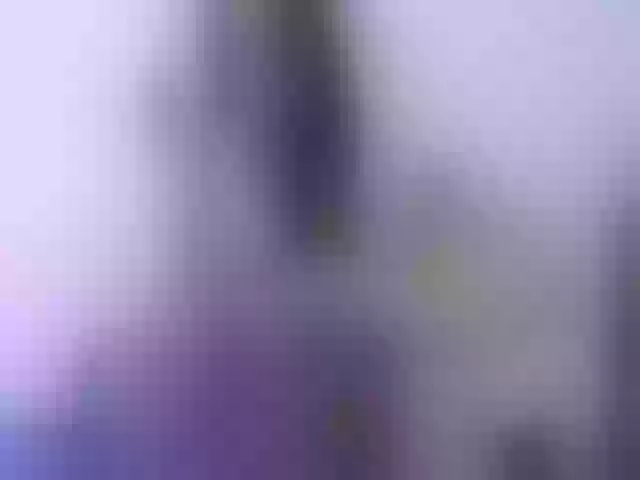 Live sex webcam photo for Lissjensen #254375880