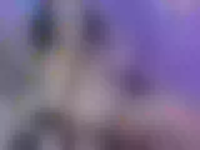 Live sex webcam photo for Im_cute_masha #254090688