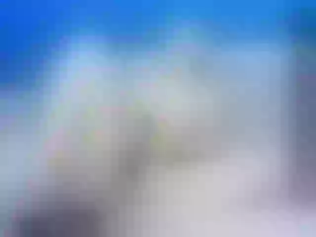 Live sex webcam photo for leksa-biffer #243687641
