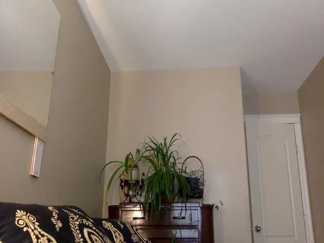 Live sex webcam photo for PennieGold #255777499