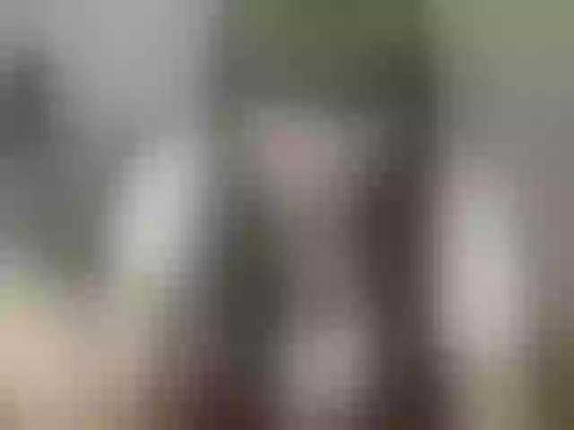 Live sex webcam photo for Terra1121 #262752514
