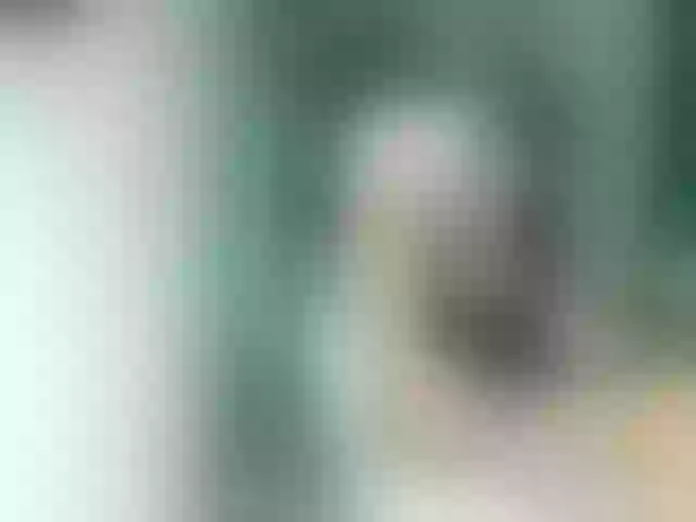 Live sex webcam photo for AiriKim #253285334