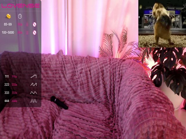 Live sex webcam photo for MinaMosss #256959032