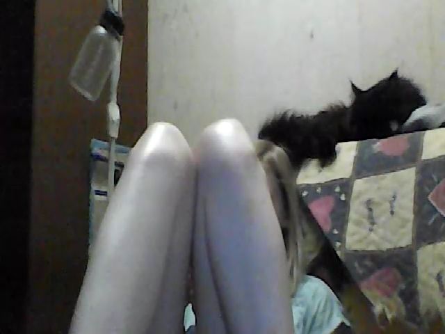 Live sex webcam photo for GuiltyKitty #264472229