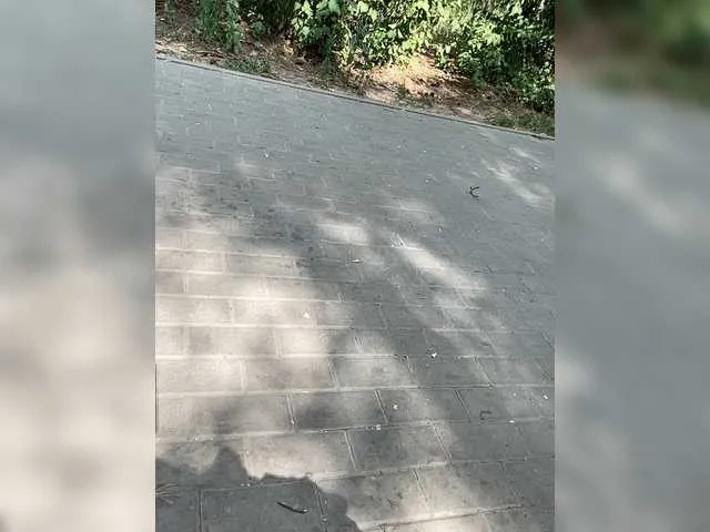 Live sex webcam photo for Kisa-Gav #258605819