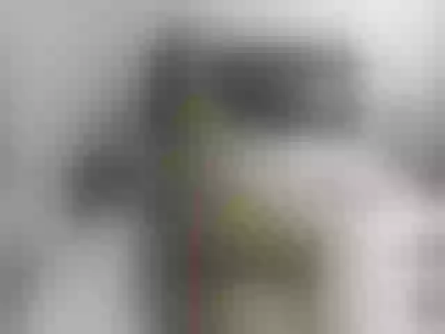 Live sex webcam photo for angiebigtits #254052644