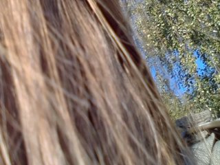 Live sex webcam photo for Vera2912 #240570703