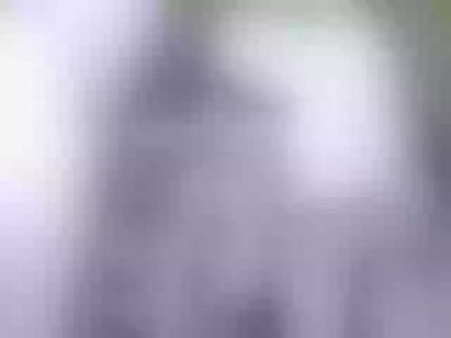 Live sex webcam photo for Siberia-Taiga #287988973