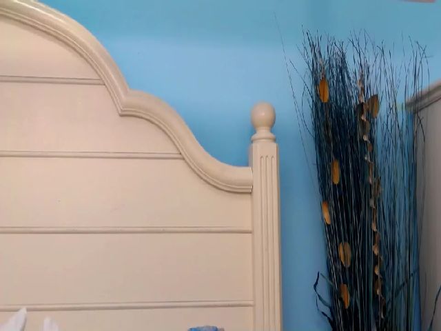 Live sex webcam photo for MilaGrace #252789589