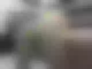 Live sex webcam photo for sexkisa777 #240872208