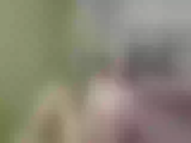 Live sex webcam photo for Evelynevi #252774391