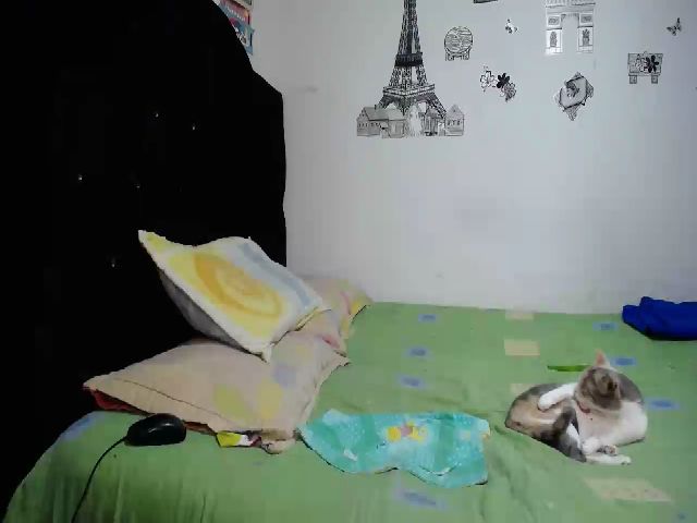 Live sex webcam photo for GracieVice #252584943