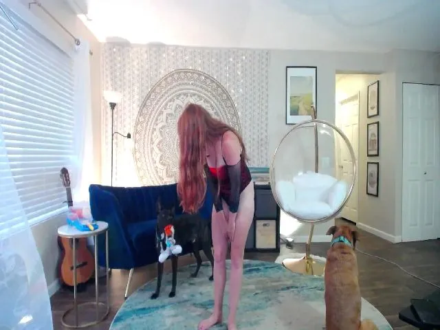 Live sex webcam photo for SquisherGirl #253270231