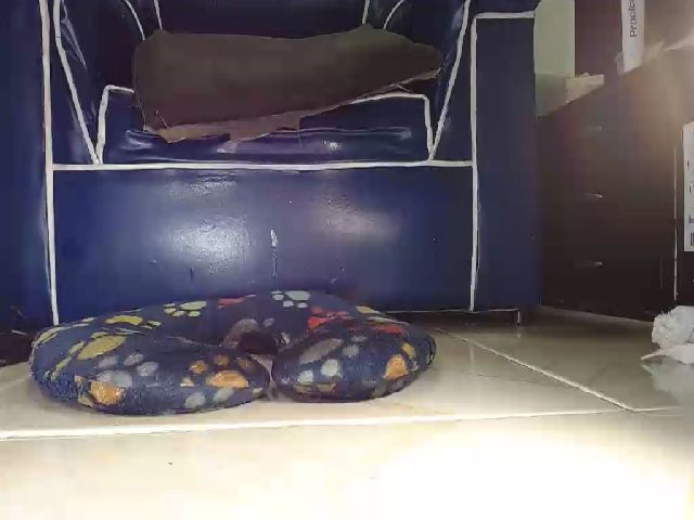 Live sex webcam photo for Alexia_Bonet #254717874