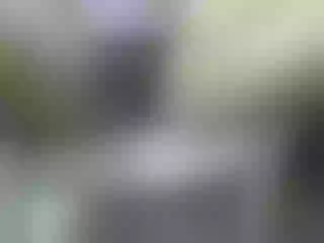 Live sex webcam photo for MulherBRRJ #241360938