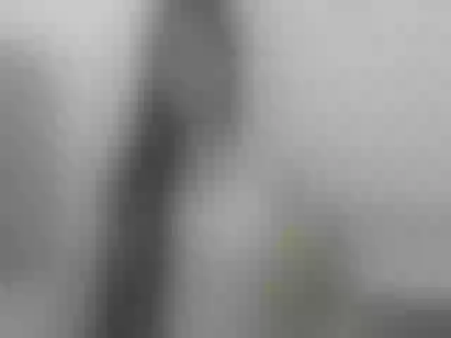 Live sex webcam photo for silvanasweet #241420732