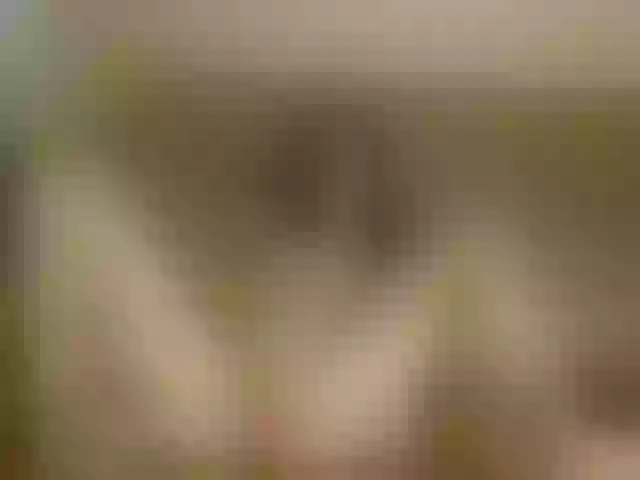 Live sex webcam photo for AsaGold #264841176