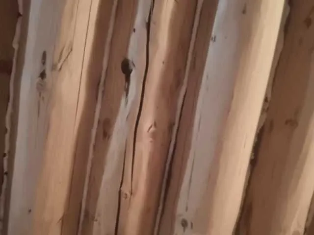 Live sex webcam photo for makskamenskih #241266779