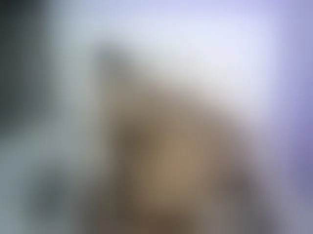 Live sex webcam photo for NoemiDavis #256289062
